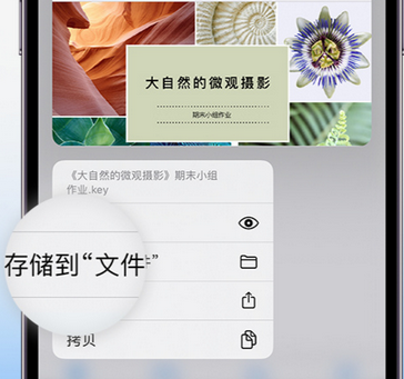 长顺apple维修中心分享iPhone文件应用中存储和找到下载文件