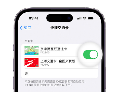 长顺apple维修点分享iPhone上更换Apple Pay快捷交通卡手绘卡面 