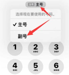 长顺苹果14维修店分享iPhone 14 Pro Max使用副卡打电话的方法 