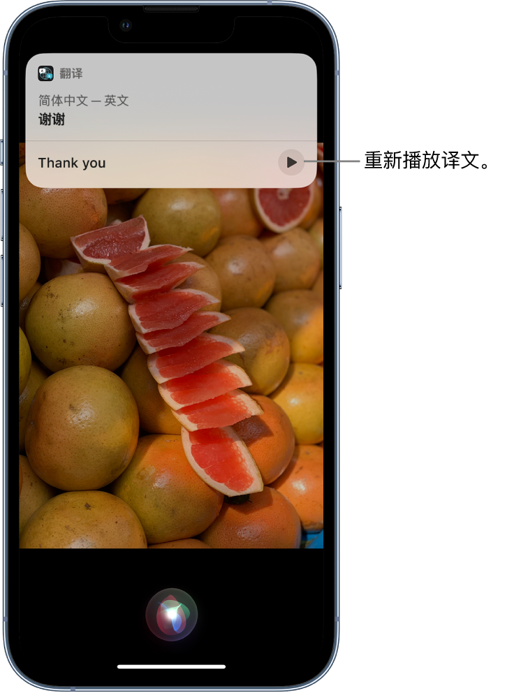 长顺苹果14维修分享 iPhone 14 机型中使用 Siri：了解 Siri 能帮你做什么 