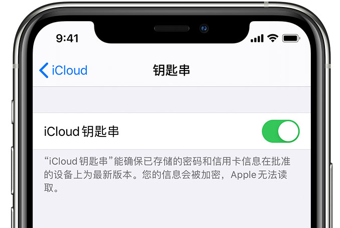 长顺苹果手机维修分享在 iPhone 上开启 iCloud 钥匙串之后会储存哪些信息 